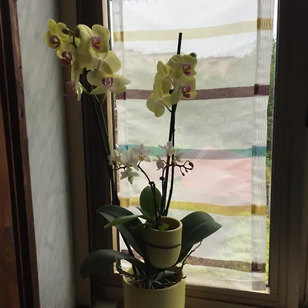 La Casa Di Chiara *
